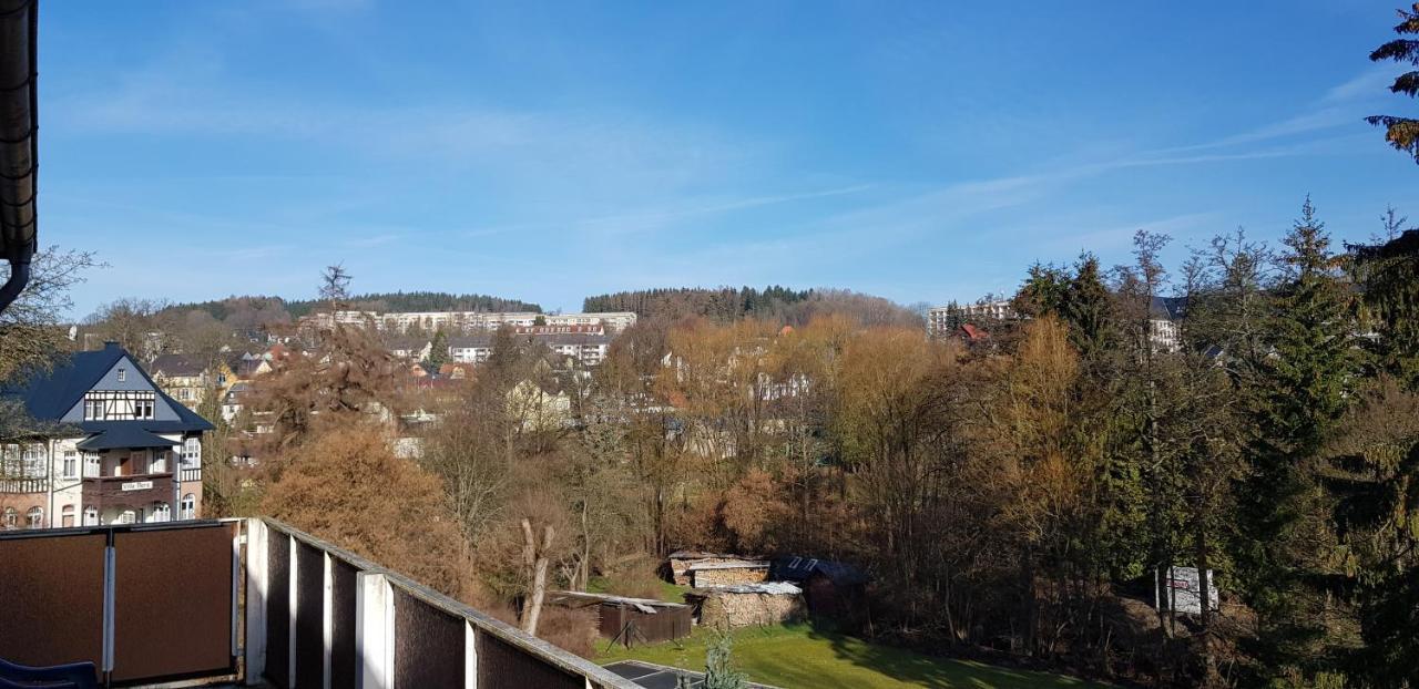 Ferienwohnungen Villa Goldbrunnen Bad Elster Esterno foto
