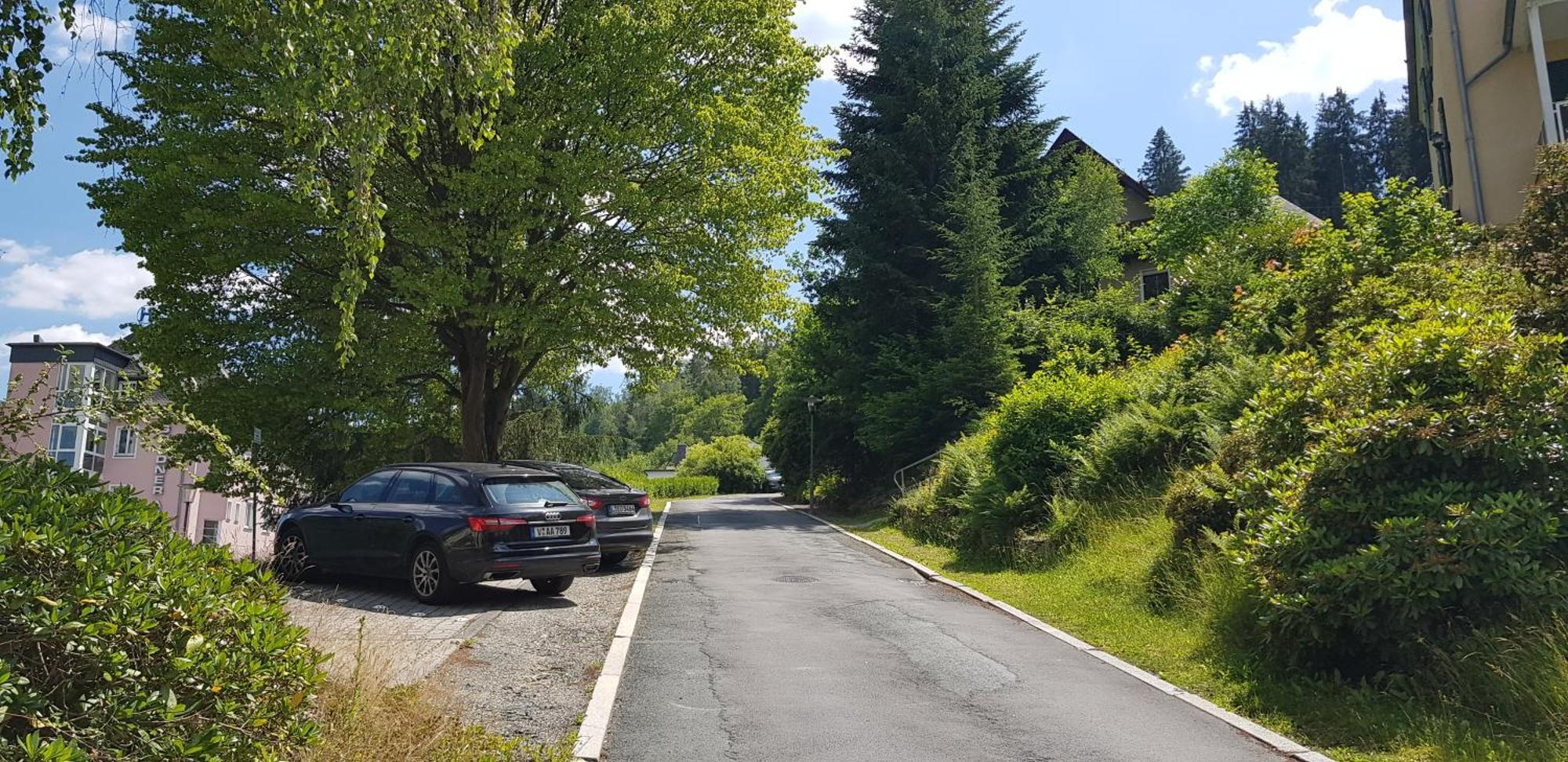 Ferienwohnungen Villa Goldbrunnen Bad Elster Esterno foto
