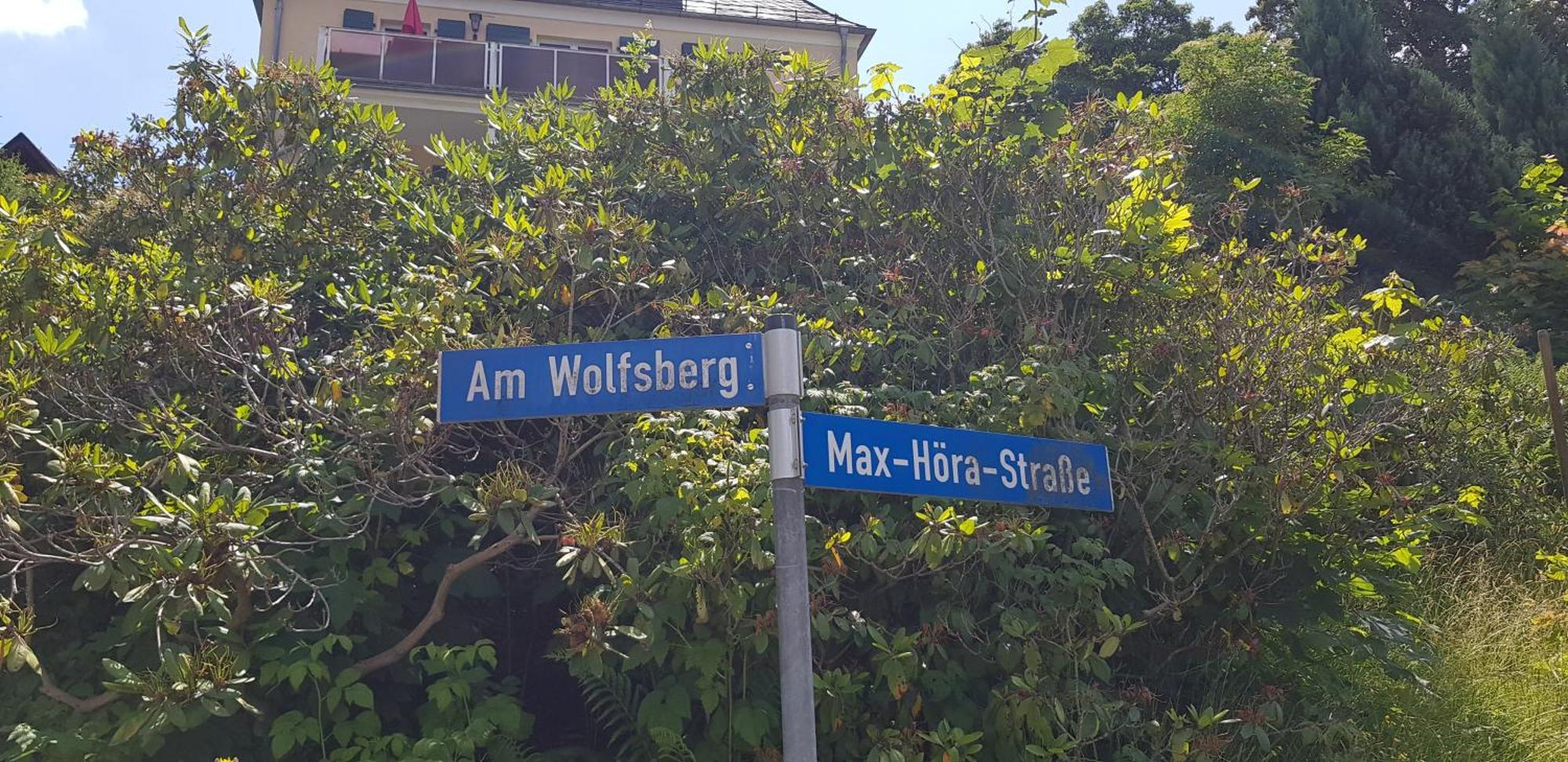 Ferienwohnungen Villa Goldbrunnen Bad Elster Esterno foto