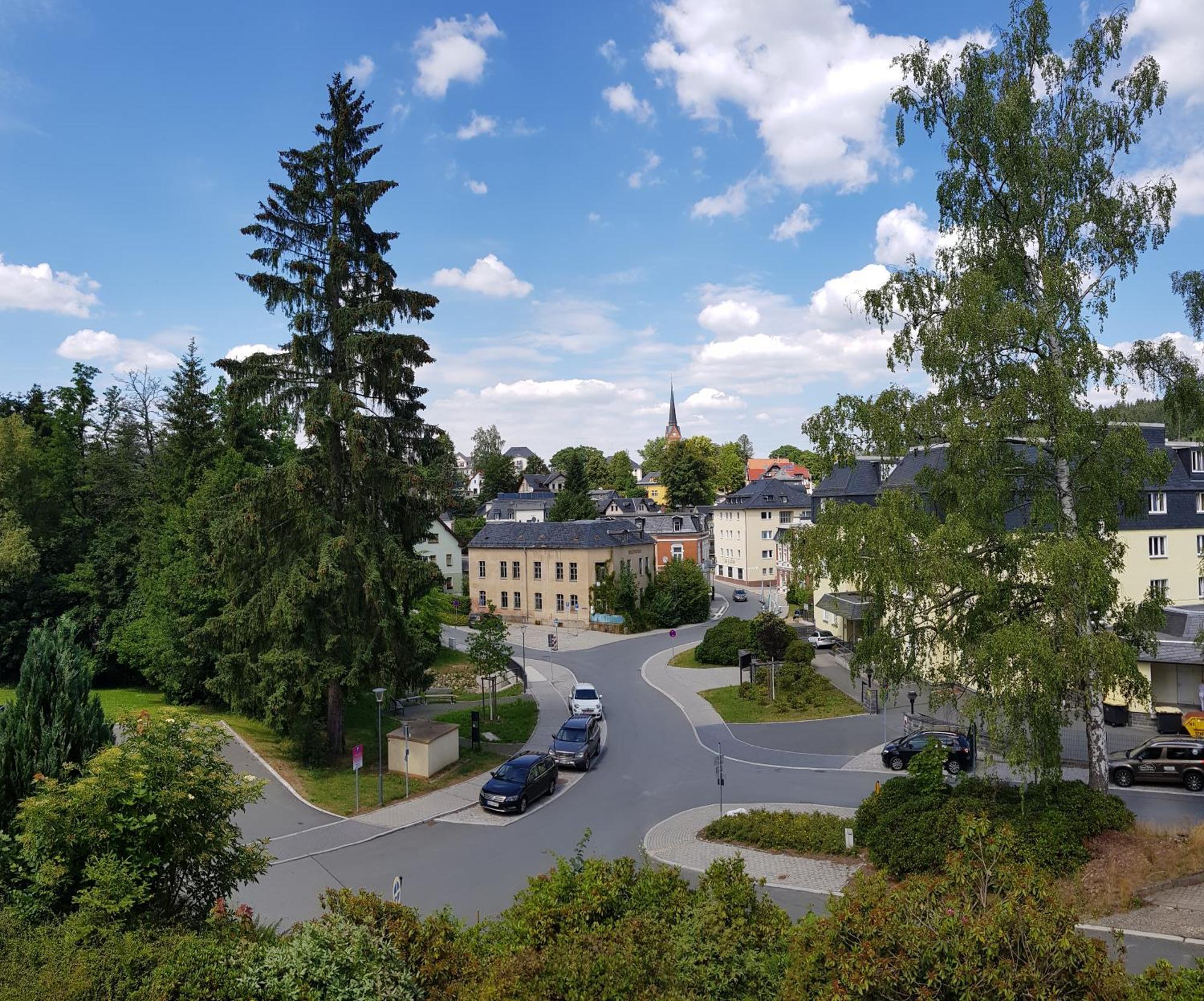 Ferienwohnungen Villa Goldbrunnen Bad Elster Esterno foto